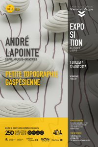 Vaste et Vague | André LAPOINTE | PETITE TOPOGRAPHIE GASPÉSIENNE | Installation in situ