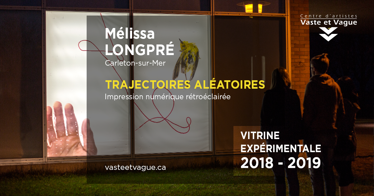 Mélissa LONGPRÉ, Carleton-sur-Mer TRAJECTOIRES ALÉATOIRES | Impression numérique rétroéclairé Vitrine expérimentale 2018 - 2019