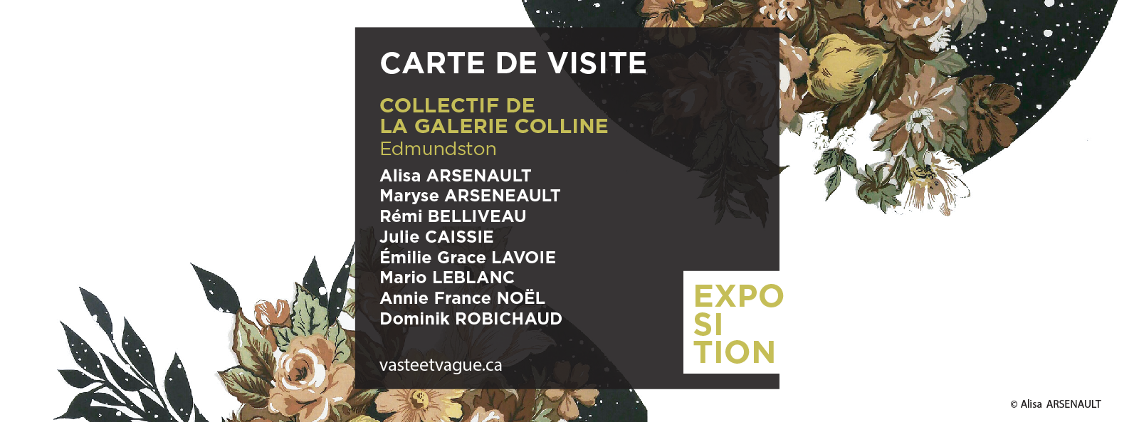 Collectif de la Galerie Colline, Edmundston CARTE DE VISITE | Installation | Centre d'artistes Vaste et Vague
