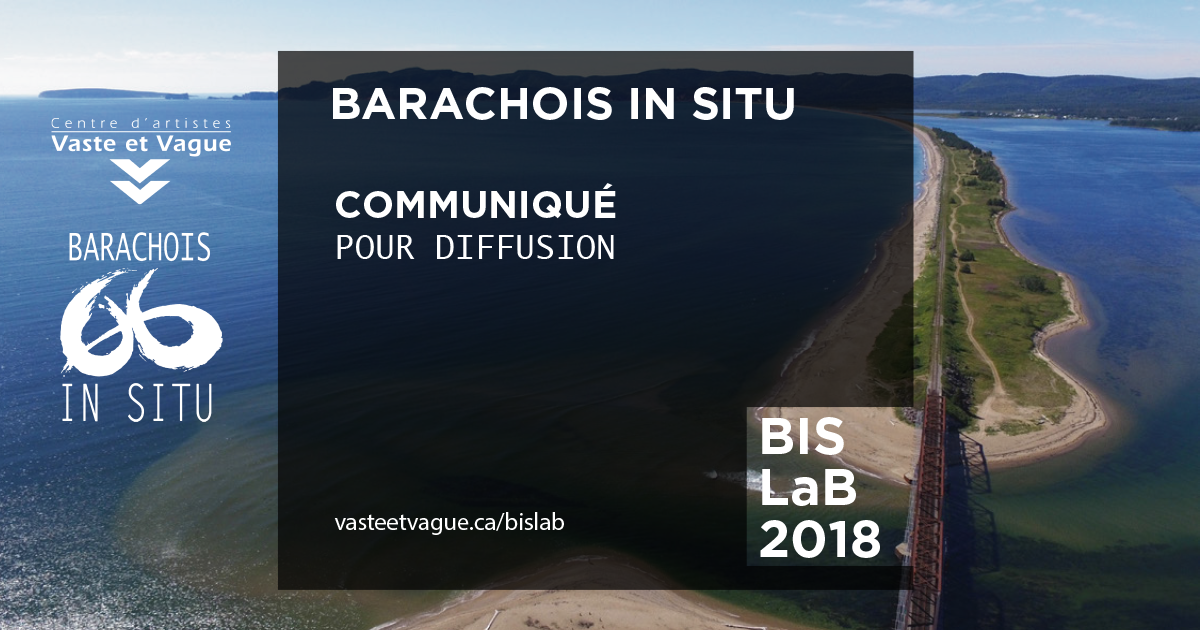 COMMUNIQUÉ BARACHOIS IN SITU - LA BIENNALE | BIS LaB | PERCÉ / Gaspésie | Centre d'artiste Vaste et Vague