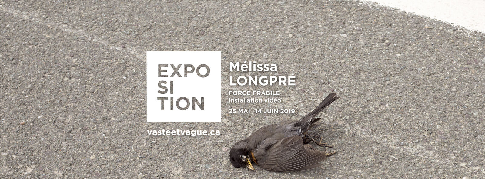 Mélissa LONGPRÉ : FORCE FRAGILE | Installation vidéo | Centre d'artistes Vaste et Vague | Programmation 2019