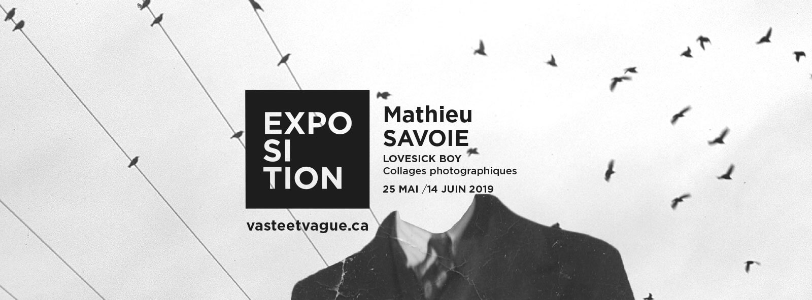 Mathieu SAVOIE : LOVESICK BOY| Collages photographiques | Vaste et Vague | Programmation 2019