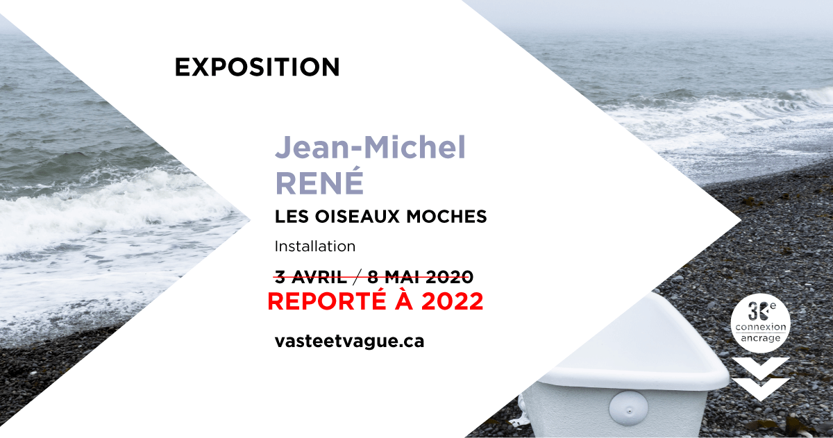 LES OISEAUX MOCHES | Installation Jean-Michel RENÉ