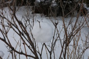 Flavie BARBEROUSSE | Art in situ en contexte hivernal